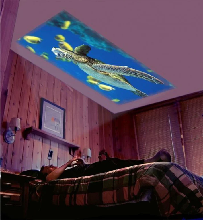 Mini LED Projector